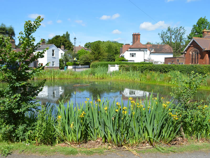 Mill Hill Pond